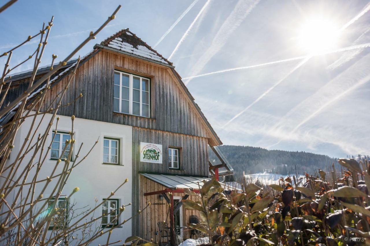 Haus Steinhof Villa Sankt Lorenzen ob Murau Exterior foto