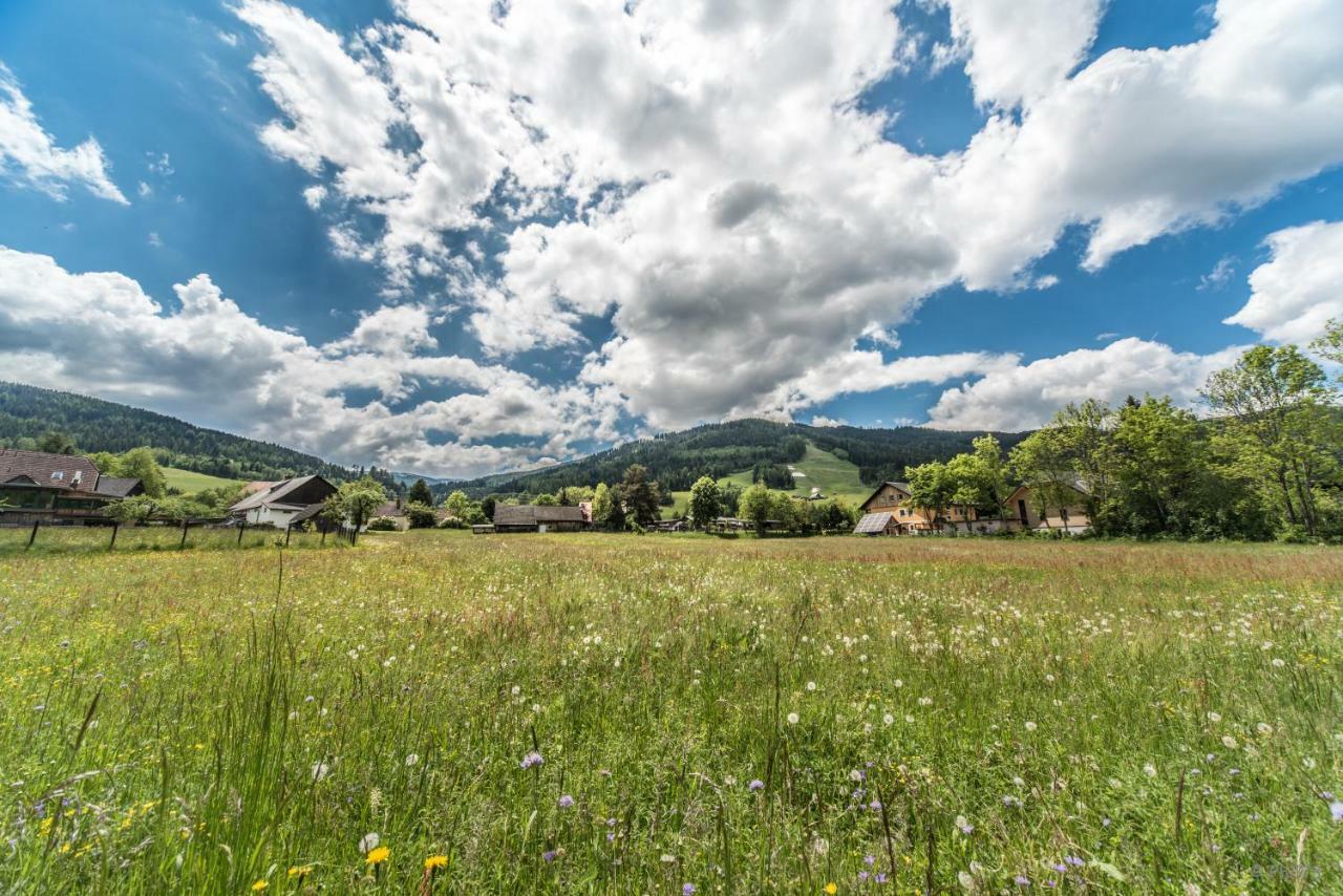 Haus Steinhof Villa Sankt Lorenzen ob Murau Exterior foto